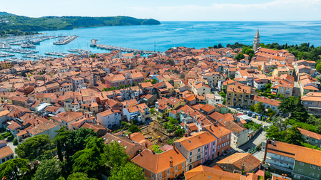 Projekt ZeleNatura: Zeleni kare. Foto: Peter Kleva.